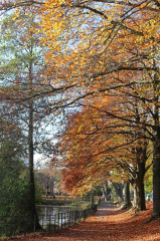161113-roath-park-autumn-5