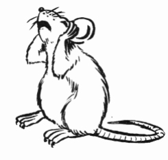 161121-gillham-mouse-sketch